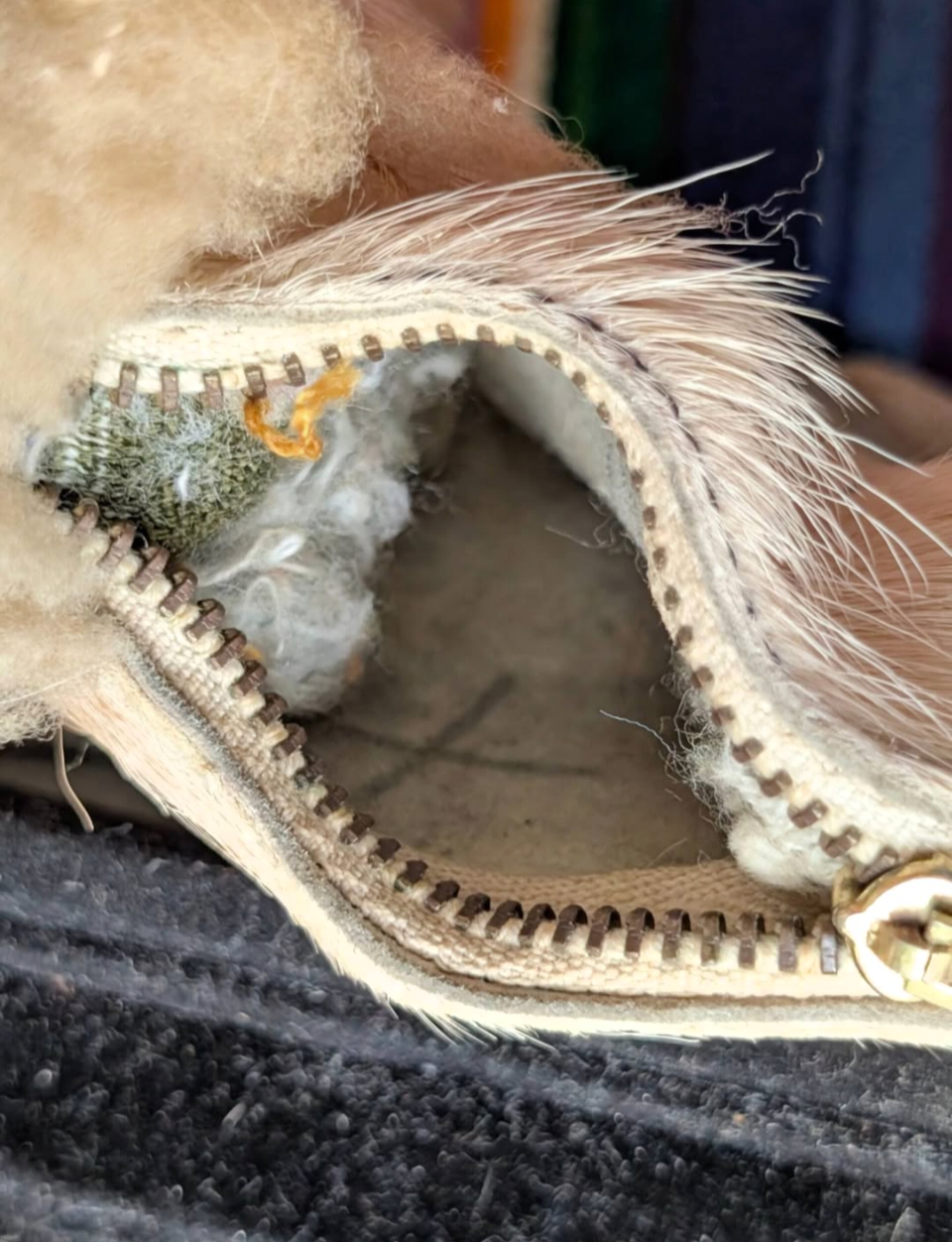 Souvenir Lion Coin Purse