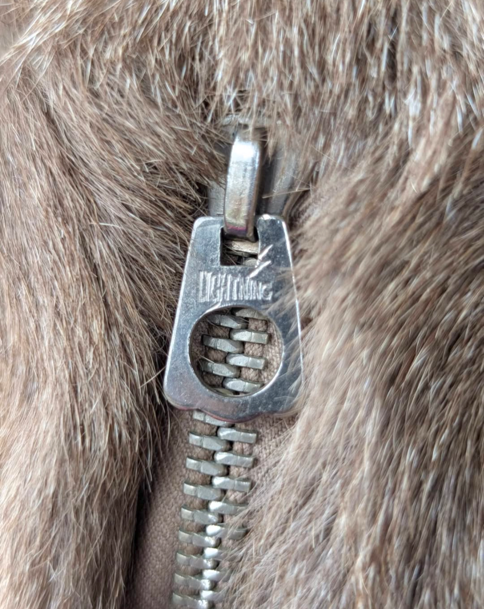 Australian Koala Coin Purse