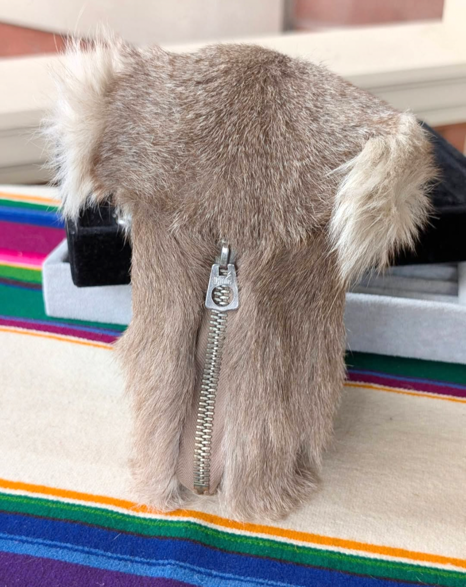 Australian Koala Coin Purse