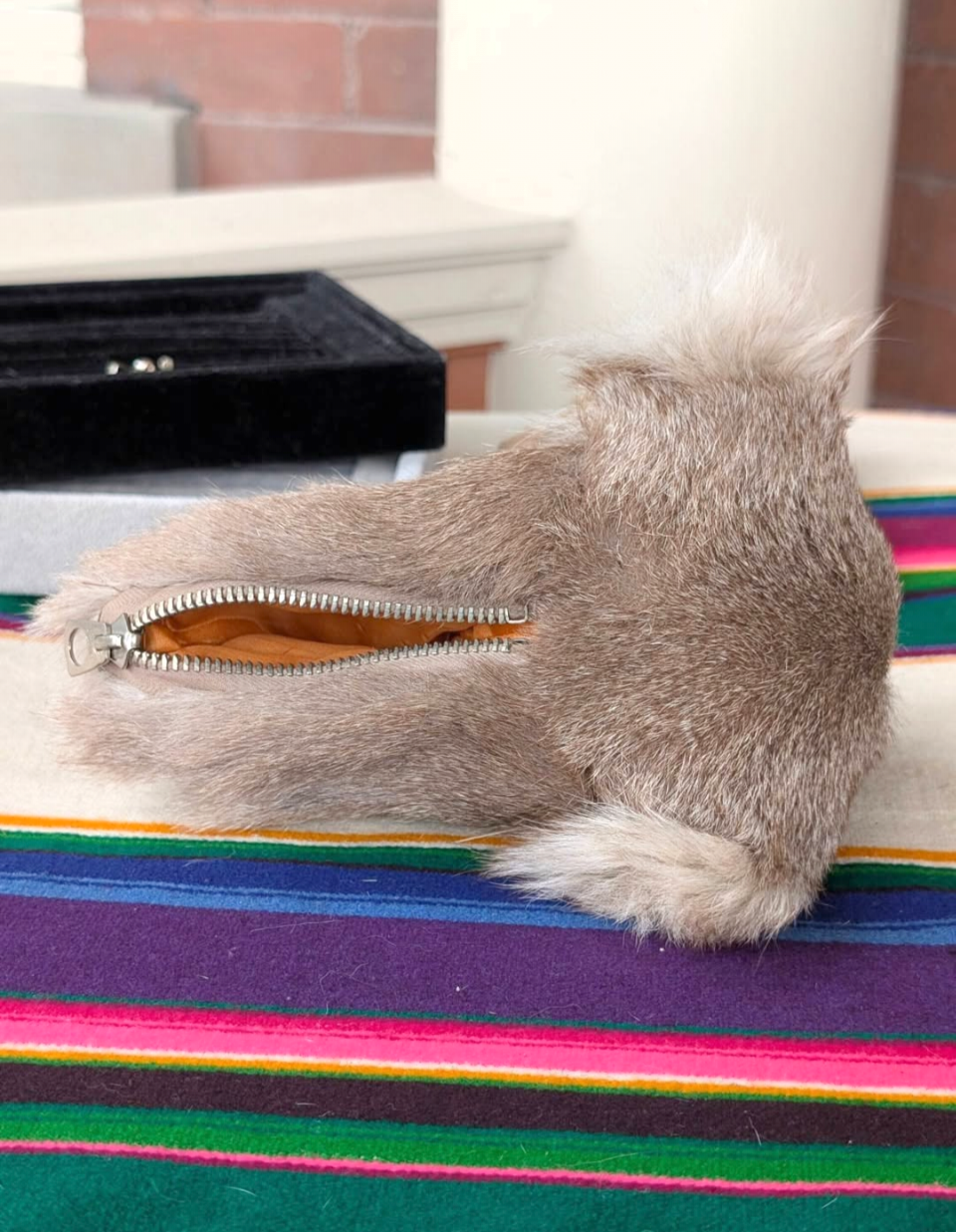 Australian Koala Coin Purse