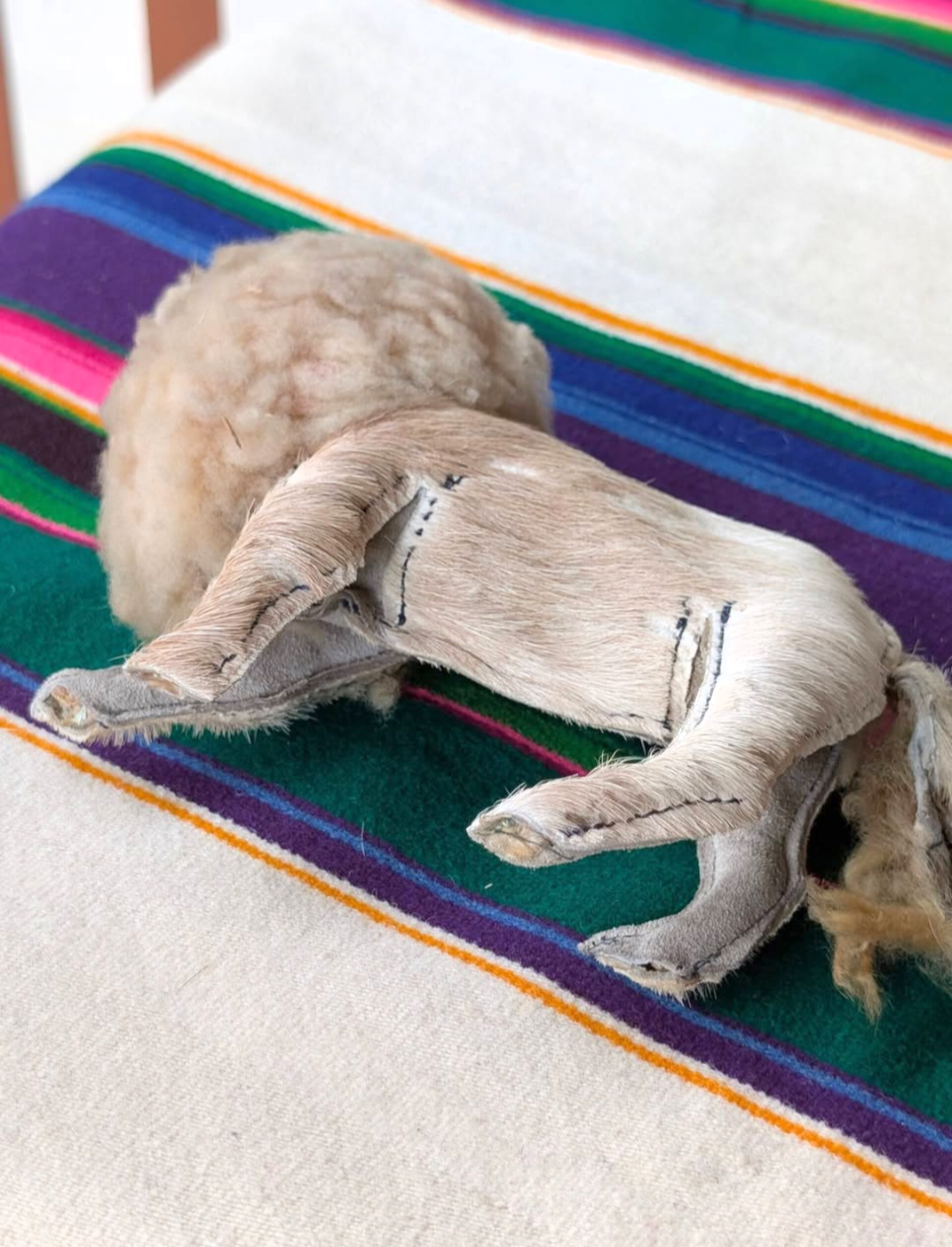 Souvenir Lion Coin Purse